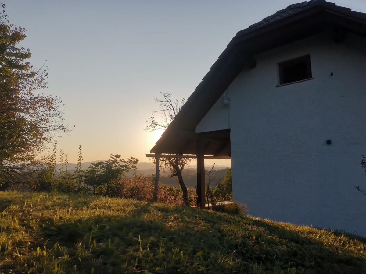 Apartma Pusa Pesnica pri Mariboru Esterno foto