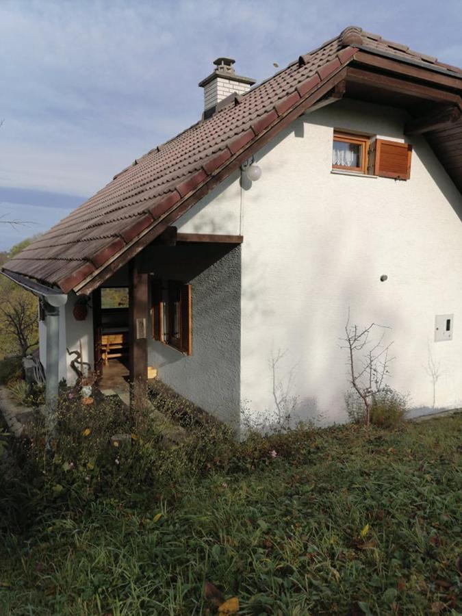 Apartma Pusa Pesnica pri Mariboru Esterno foto