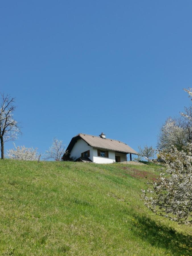 Apartma Pusa Pesnica pri Mariboru Esterno foto